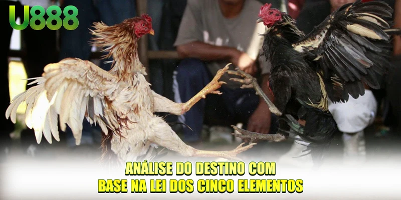 Análise do destino com base na lei dos cinco elementos