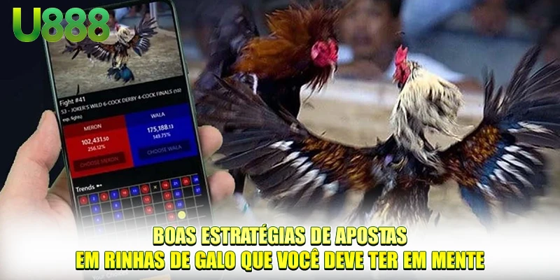 Boas estratégias de apostas em rinhas de galo que você deve ter em mente
