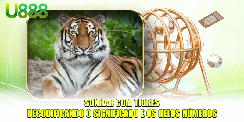 Sonhar com Tigre: em Que Apostar? Decodifique o significado e os números bonitos