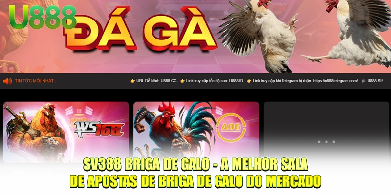 SV388 Cockfighting - A melhor sala de apostas de briga de galo do mercado