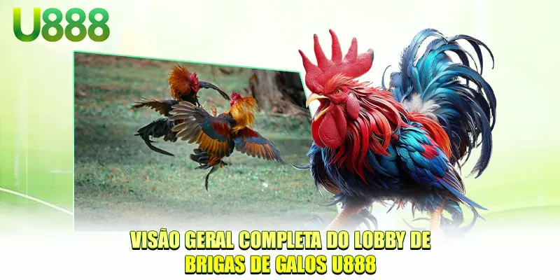 Visão geral completa do lobby de brigas de galos U888
